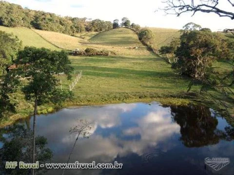 Sitio nas montanhas do Sul de Minas