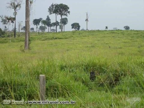 LINDA FAZENDA NO PARA