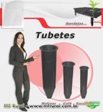 Tubetes para Eucalipto , Café e Nativas