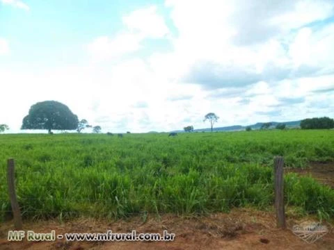 Fazenda em Pontalina GO