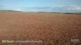 Vendo fazenda para plantio em Goiás