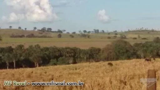 Vendo fazenda para plantio em Goiás