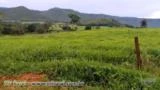 Fazenda em Goiás aceita troca e da prazo "LEIA O ANUNCIO"