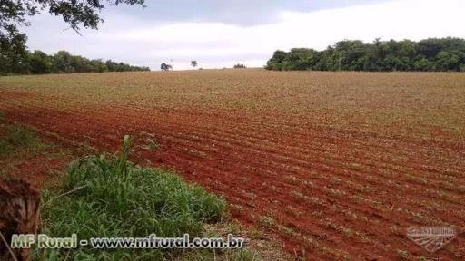 Fazenda em Goiás para agricultura ac. Imoveis