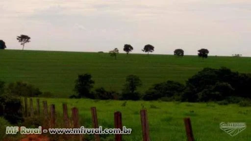 Fazenda em Goiás para agricultura ac. Imoveis