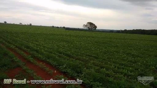 Fazenda para soja próximo a Goiânia