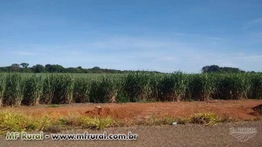 Fazenda próximo a Rio Verde GO para soja