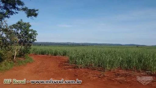 Fazenda próximo a Rio Verde GO para soja