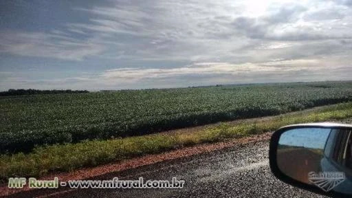 Fazenda próximo a Rio Verde GO para soja