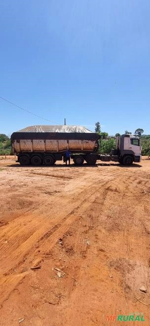 Imagem Esterco de galinha Imagem Esterco de galinha