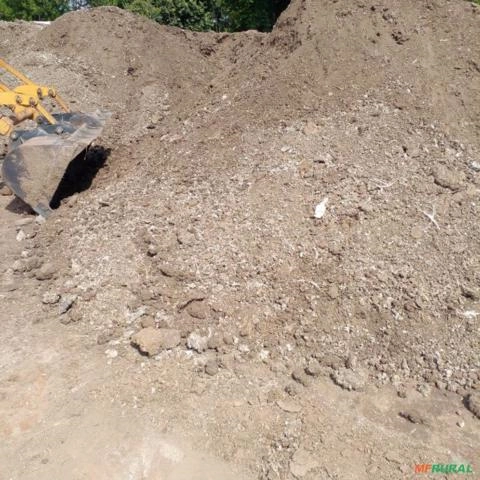 Esterco de galinha Imagem Esterco de galinha