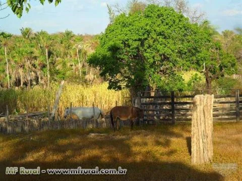 Fazenda Maniçoba