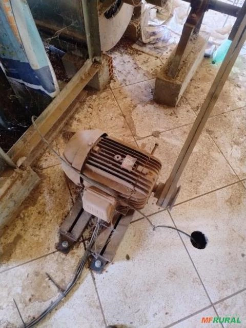 Imagem BENEFICIADORA DE FEIJÃO COM EMPACOTADOR E INVERSOR Imagem BENEFICIADORA DE FEIJÃO COM EMPACOTADOR E INVERSOR