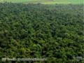 Fazenda mata floresta feliz natal 30.000 ha