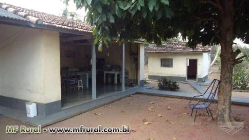 FAZENDA DE TERRAS ROXAS COM 416,24 HECTARES SENDO ABERTOS 326 HECTARES