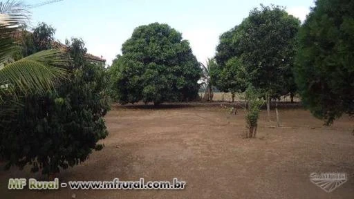 FAZENDA DE TERRAS ROXAS COM 416,24 HECTARES SENDO ABERTOS 326 HECTARES