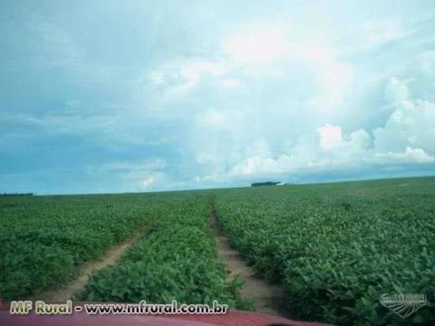 ARRENDO 2 FAZENDAS PARA SOJA EM RÔNDONIA