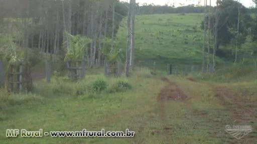 FAZENDA PARA GADO NA RGIÃO DE CHUPINGUAIA -RO COM CAPACIDADE PARA 4000 BOIS