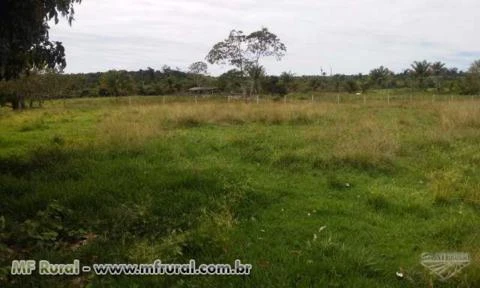 FAZENDA EM VILHENA RO COM 6000 HECTARES (PECHINCHA DO ANO)