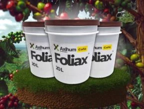 Foliax Café Macro E Micronutrientes Balanceados Para Nutrição Do Cafeeiro Balde De 20L