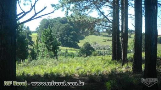 CHÁCARA MAGNÍFICA COM PROJETO DE CONDOMÍNIO CLUB E HÍPICO (CASCATA DO PURUNÃ)