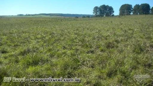 CHÁCARA MAGNÍFICA COM PROJETO DE CONDOMÍNIO CLUB E HÍPICO (CASCATA DO PURUNÃ)