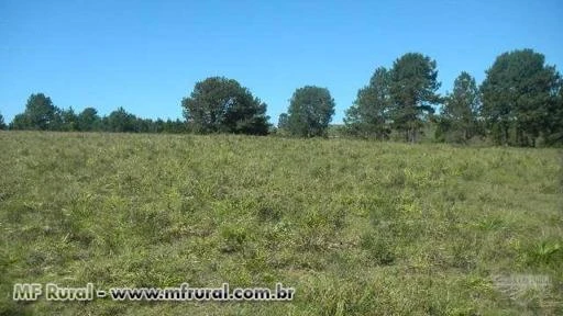 CHÁCARA MAGNÍFICA COM PROJETO DE CONDOMÍNIO CLUB E HÍPICO (CASCATA DO PURUNÃ)