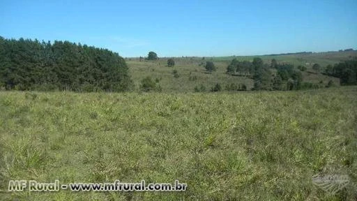 CHÁCARA MAGNÍFICA COM PROJETO DE CONDOMÍNIO CLUB E HÍPICO (CASCATA DO PURUNÃ)