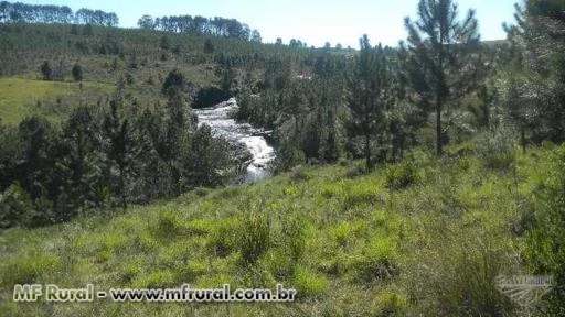 CHÁCARA MAGNÍFICA COM PROJETO DE CONDOMÍNIO CLUB E HÍPICO (CASCATA DO PURUNÃ)