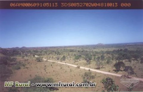 Fazenda em Guarai - TO com 1003 ha