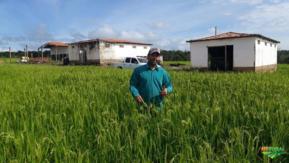 FAZENDA NO MARANHÃO-MA