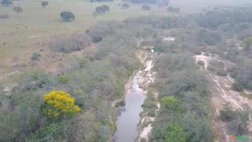 Fazenda com 1065 hectares, com rio e cachoeira em Rio Negro - MS