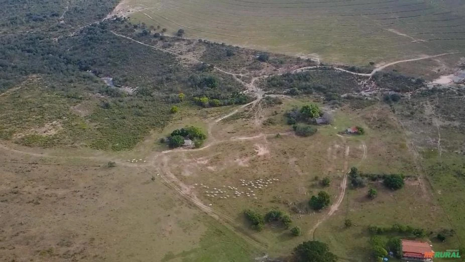 Fazenda com 1065 hectares, com rio e cachoeira em Rio Negro - MS