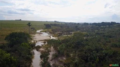 Fazenda com 1065 hectares, com rio e cachoeira em Rio Negro - MS