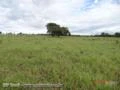 Fazenda 3.500 ha saida Tres Lagoas- 35 km Campo Grande MS - R$12.000,00/ha
