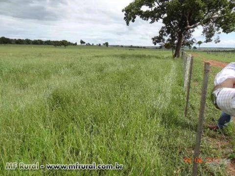 Fazenda 3.500 ha saida Tres Lagoas- 35 km Campo Grande MS - R$12.000,00/ha