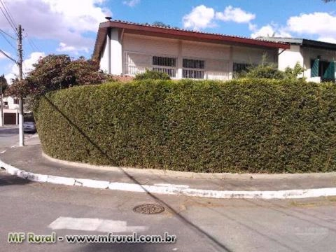 Imagem BAMBU CANA DA INDIA DIRETO DO PRODUTOR Imagem BAMBU CANA DA INDIA DIRETO DO PRODUTOR