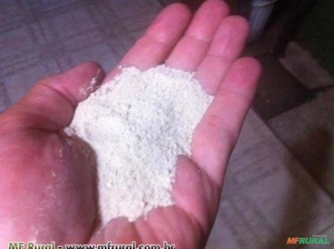 ADUBO PARA MANUTENÇÃO - pacote com 70 gramas Imagem ADUBO PARA MANUTENÇÃO - pacote com 70 gramas