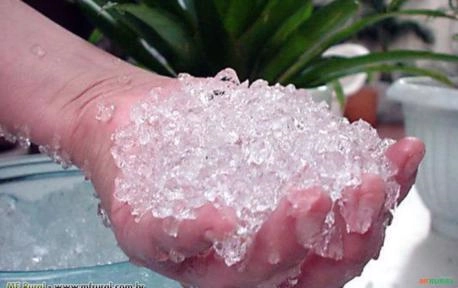 Gel para Plantio - pcte com 3g Imagem Gel para Plantio - pcte com 3g