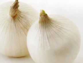 CEBOLA WHITE CREOLA ( Allium cepa.)