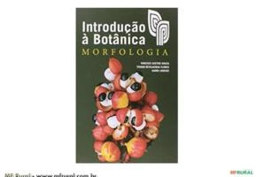 Introdução a Botânica Morfologia