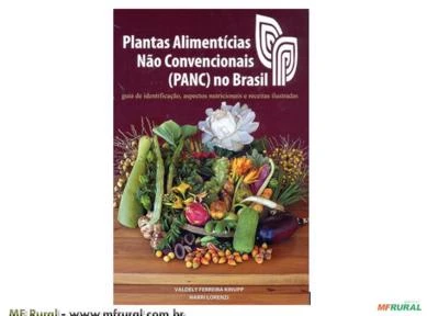 Plantas Alimentícias Não Convencionais - PANC 
