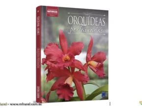Coleção Rubi Volume 2 - Orquídeas Perfumadas