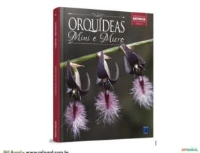 Coleção Rubi Volume 4 - Mini e Micro Orquídeas