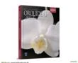 Coleção Rubi Volume 6 - Orquídeas Phalaenopsis