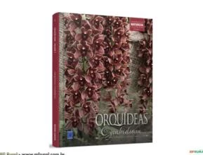 Coleção Rubi Volume 7 - Orquídeas Cymbidium