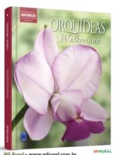 Coleção Rubi Volume 9 - Orquídeas Valquerianas