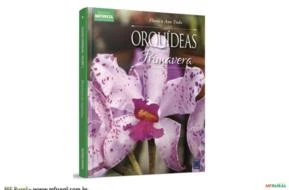 Coleção Orquideas Estações - Orquideas de Primavera