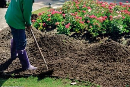 ADUBO PARA JARDIM Imagem ADUBO PARA JARDIM