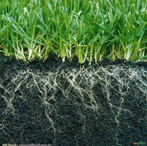 ADUBO ENRAIZADOR Imagem ADUBO ENRAIZADOR